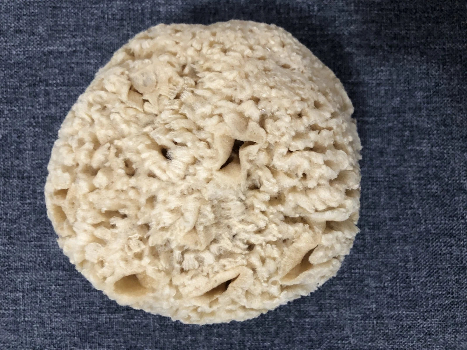 Natural Sea Sponge Bath-Shower Large  1 Count  4.5 x 4.5 x 2.75"