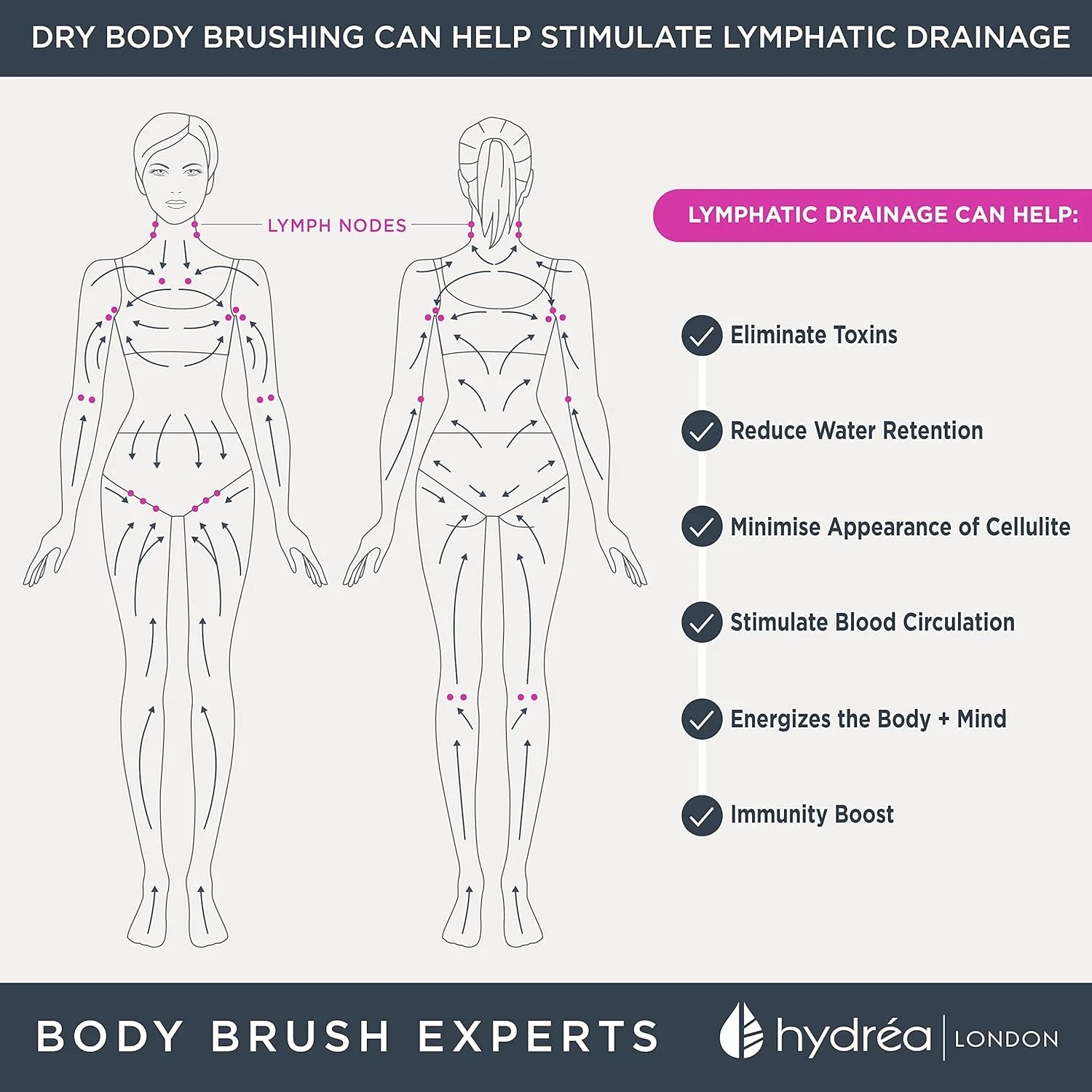 Dry Body Brush Long Handled Exfoliating Skin Brush with Vegan Cactus Bristle, Dr
