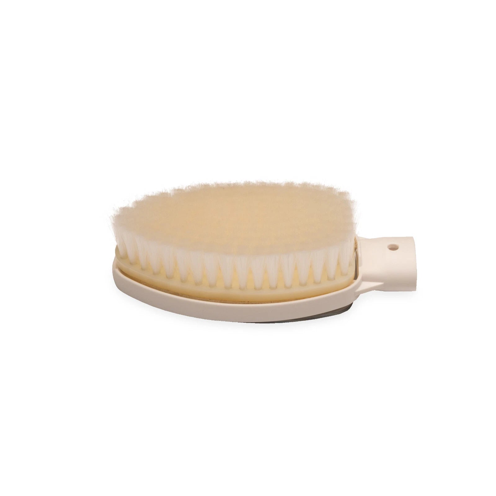 Personal Care, Bath Brush, health & beauty aid, bath & body, health care (OTC)