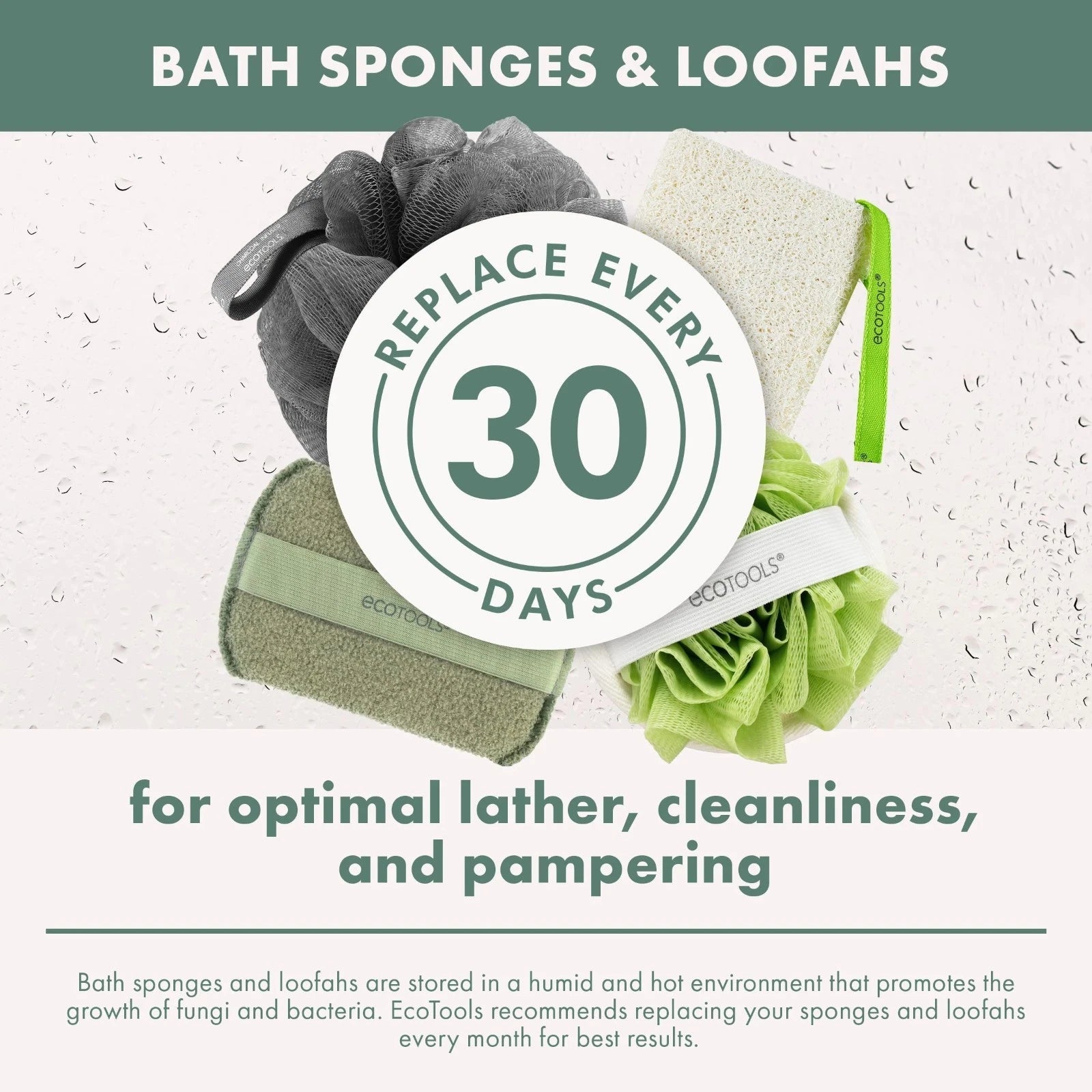 EcoTools Charcoal Bath Sponge, Black Loofah for Body Cleansing & Exfoliating, fo