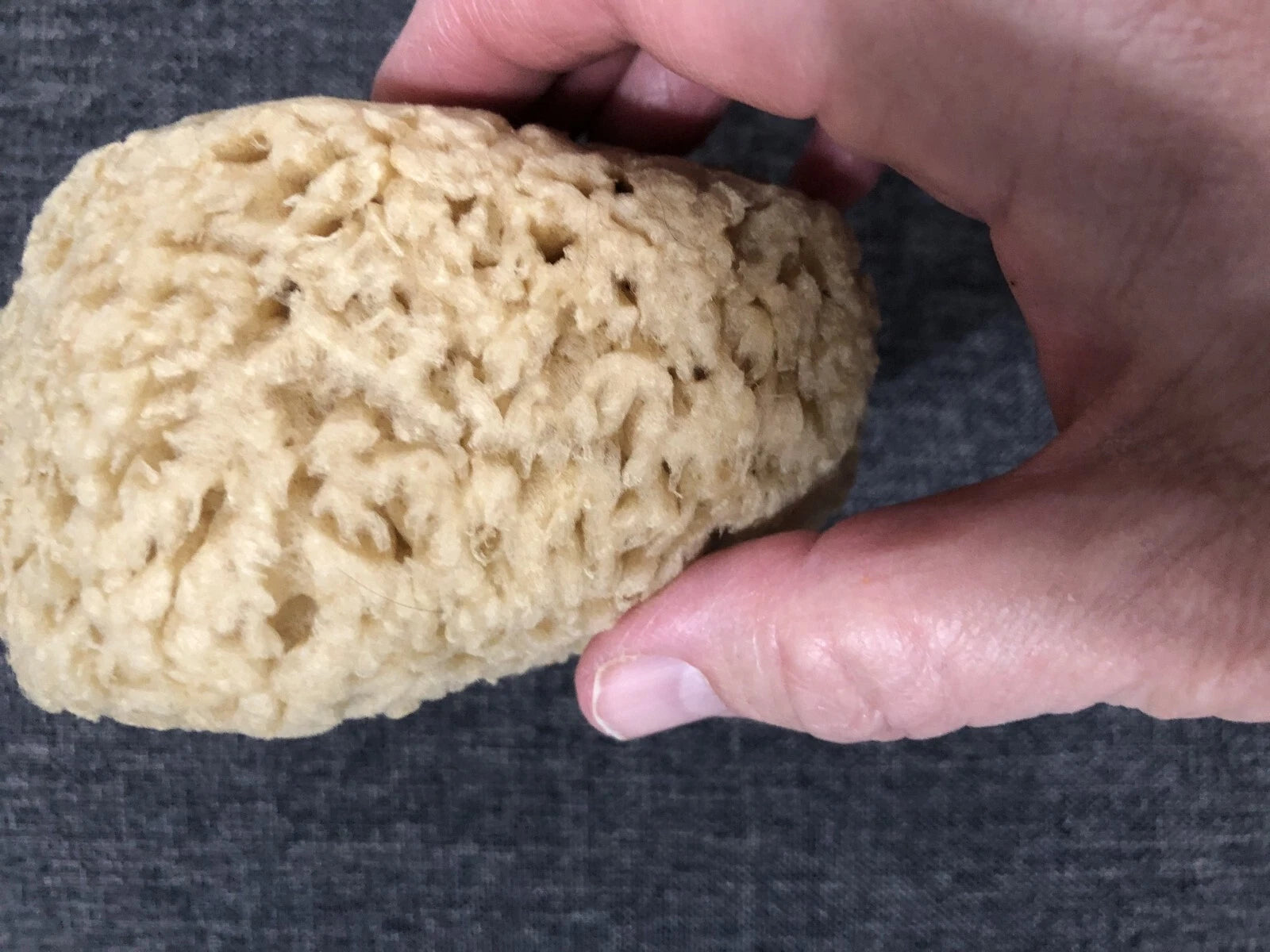 Natural Sea Sponge Bath-Shower Large  1 Count  4.5 x 4.5 x 2.75"