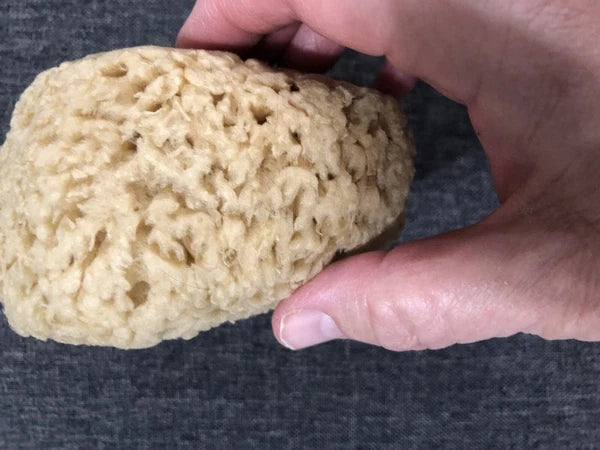 Natural Sea Sponge Bath-Shower Large  1 Count  4.5 x 4.5 x 2.75"