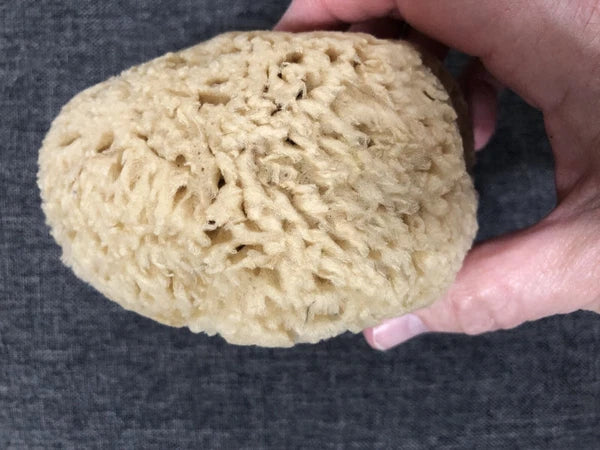 Natural Sea Sponge Bath-Shower Large  1 Count  4.5 x 4.5 x 2.75"