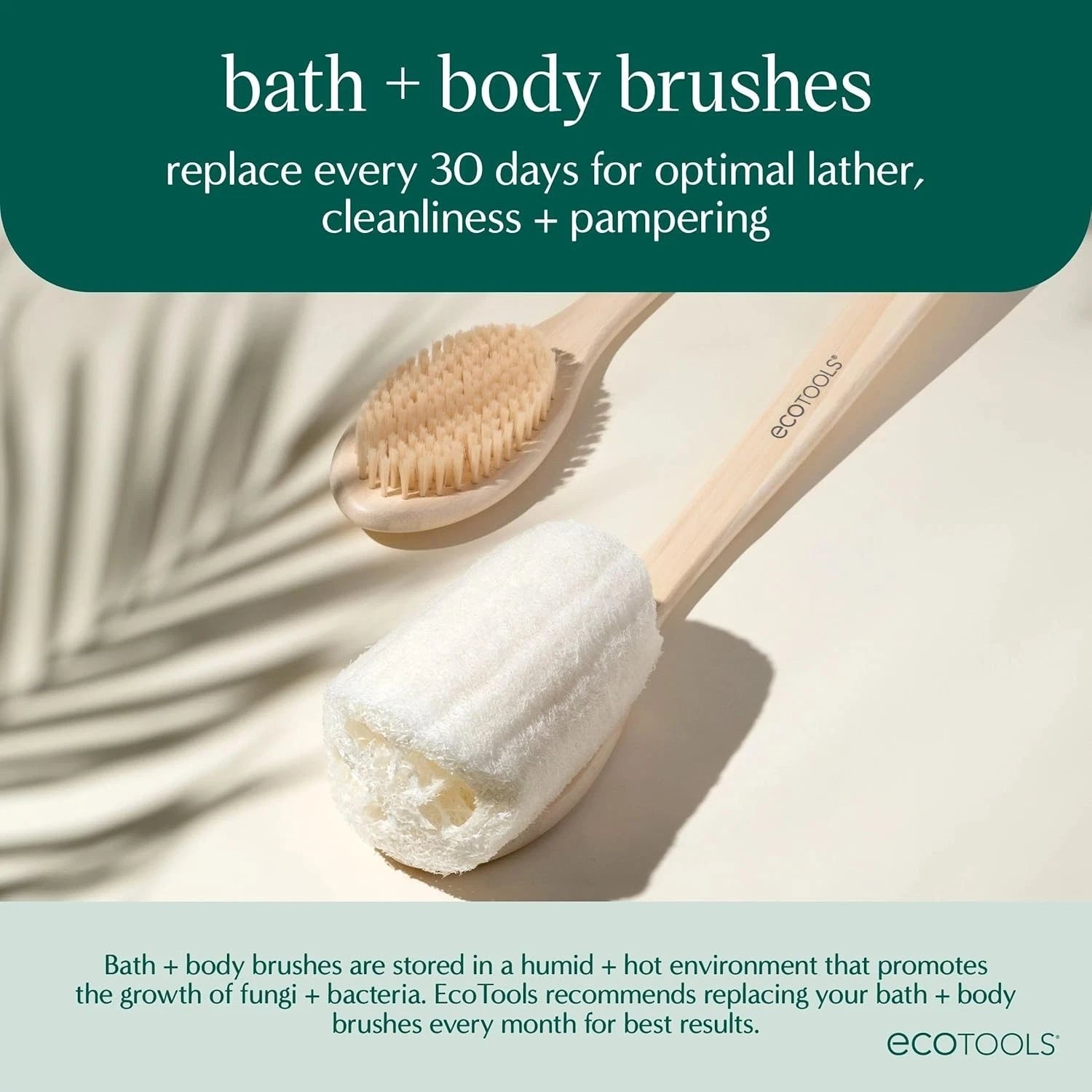 Bath Bristle Brush, Bath Brush with Long Handle, Cleanse Back & Hard-To