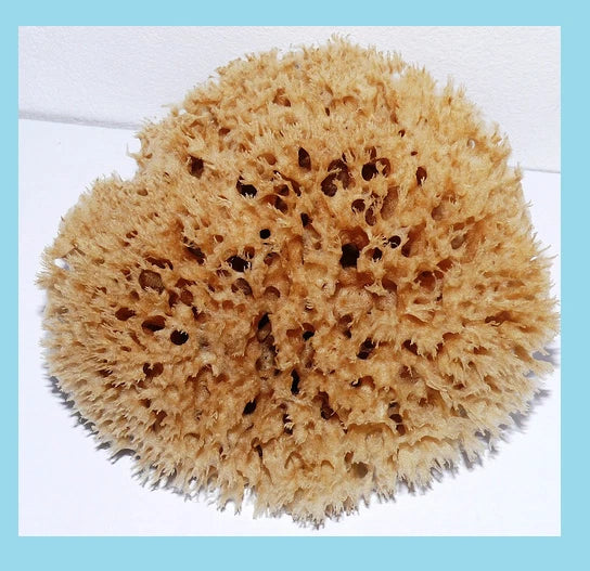Lux Sea Sponge BATH 17cm  Unbleached Brown  GREECE XL SUPER