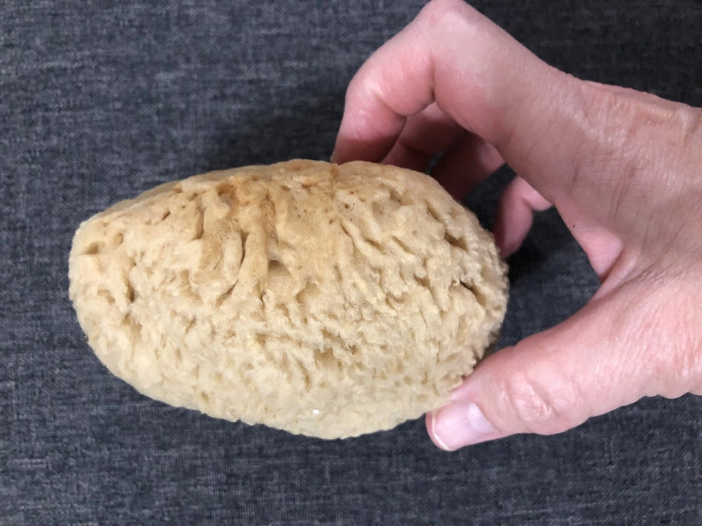 Natural Sea Sponge Bath-Shower Large  1 Count  4.5 x 4.5 x 2.75"
