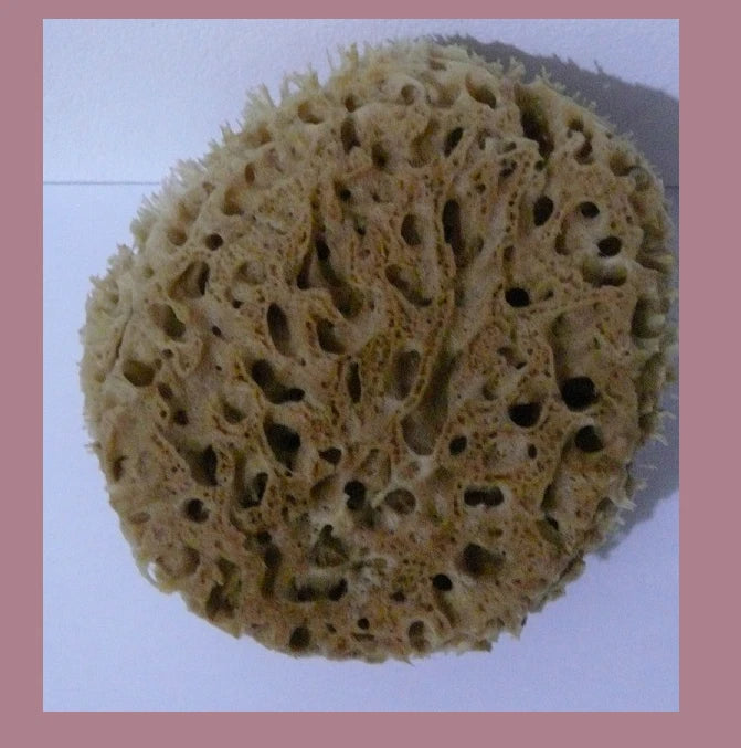 Lux Sea Sponge BATH 17cm  Unbleached Brown  GREECE XL SUPER