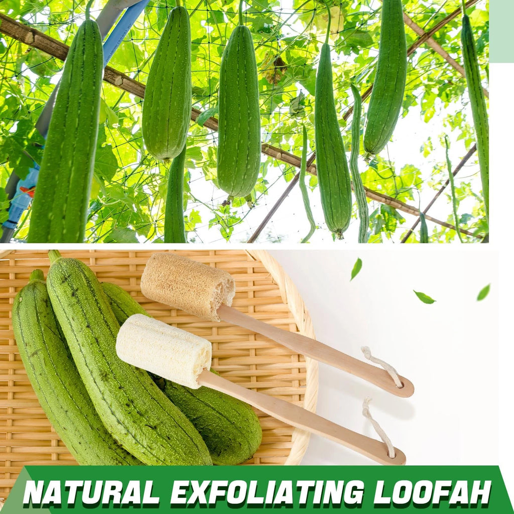 4 Pack Natural Exfoliating Loofah Bath Back Brush Loofah Back Scrubber Long H...