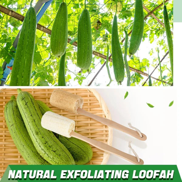 4 Pack Natural Exfoliating Loofah Bath Back Brush Loofah Back Scrubber Long H...