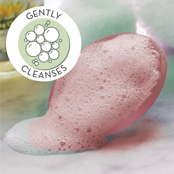 Pink Exfoliating Massaging Cradle Cap Bath Brushes 2"x2.5" Baby 2 Pack