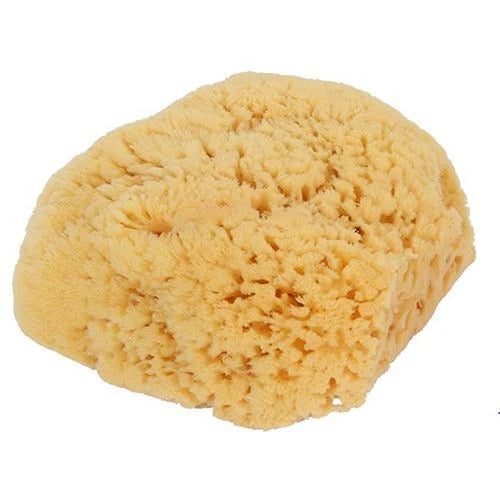 Natural Sea Sponge Bath-Shower Large  1 Count By Bass Brushes