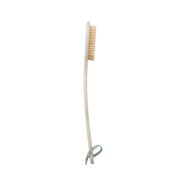Ecotools Bath Bristle Brush, Bath Brush With Long Handle, Cleanse Back