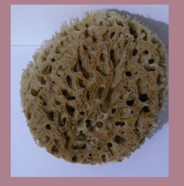 Lux Sea Sponge BATH 17cm  Unbleached Brown  GREECE XL SUPER