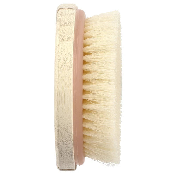 Dry Body Brush, 1 Brush