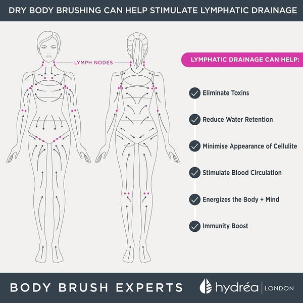 Dry Body Brush Long Handled Exfoliating Skin Brush with Vegan Cactus Bristle, Dr